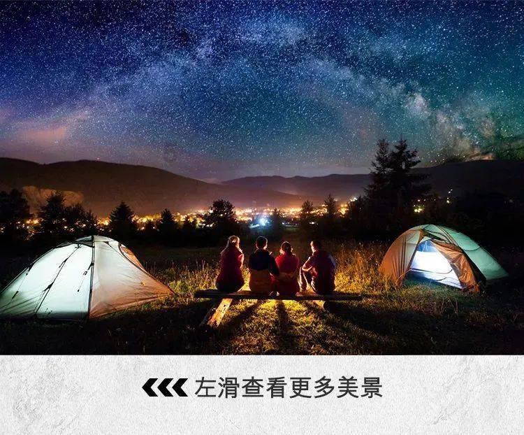 虫虫助手下载