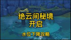 疯狂的小偷