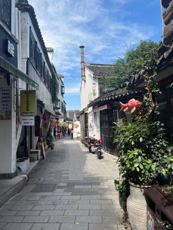 拯救蓝色小鸟